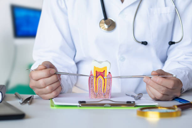 Best Emergency Dental Care for Trauma or Injury in Lavon, TX